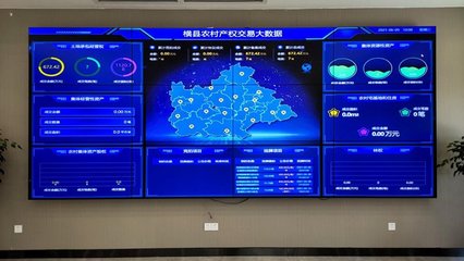 橫縣農村產權交易中心 以數據交易服務為抓手，譜寫鄉村振興新篇章