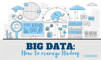 數(shù)據(jù)賦能醫(yī)療 Hadoop大數(shù)據(jù)如何重塑患者護理與數(shù)據(jù)交易服務(wù)